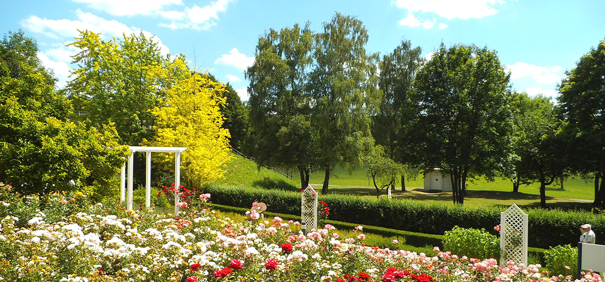 mergentheim
